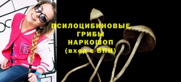 ПСИЛОЦИБИНОВЫЕ ГРИБЫ Арсеньев