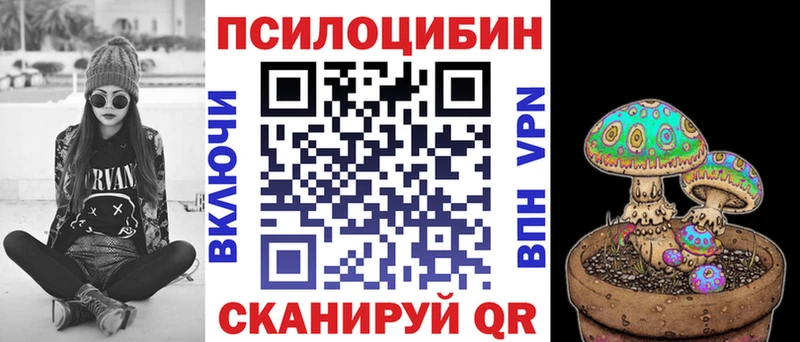 Купить где  Вихоревка  Псилоцибиновые грибы Cubensis 